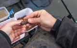 Preston ICM MAggot Feeder