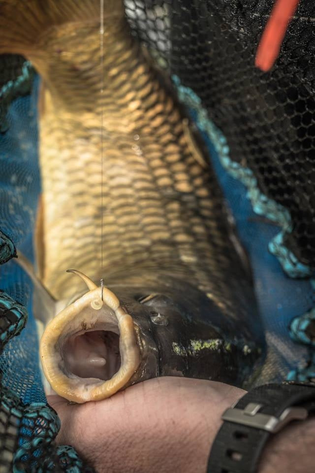 Preston Match landing Nets